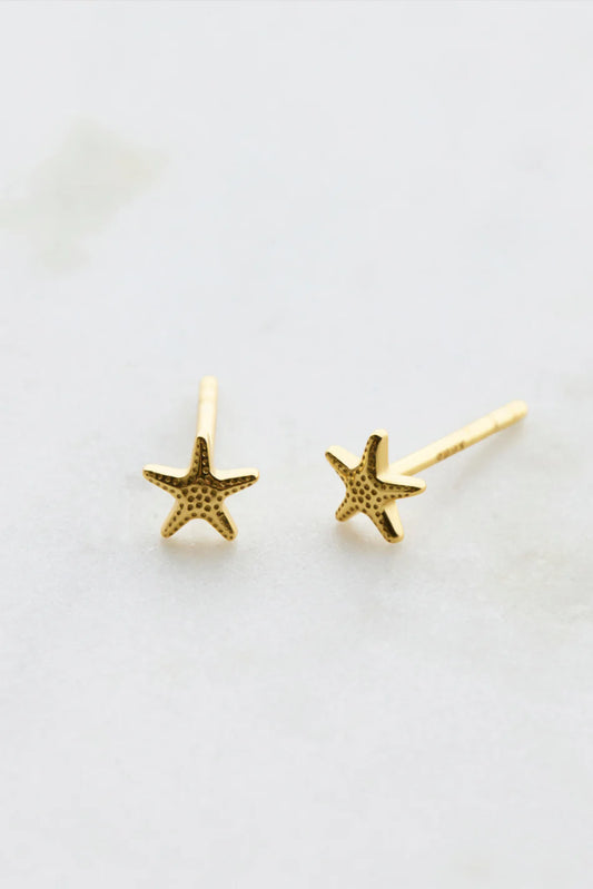Zafino Starfish- Gold