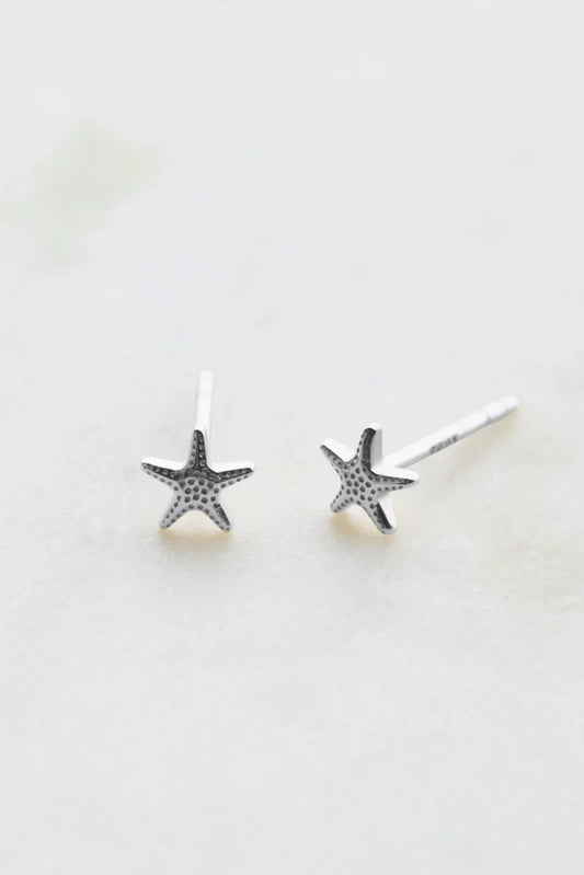 Zafino Starfish- Silver