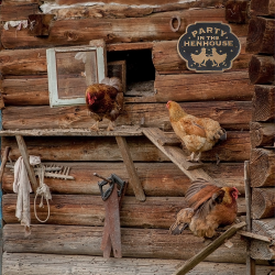 Ceramic Door Sign - Party In The Henhouse