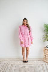 Spring Shirt Dress- Pink (BAXTER & ONLINE ONLY)